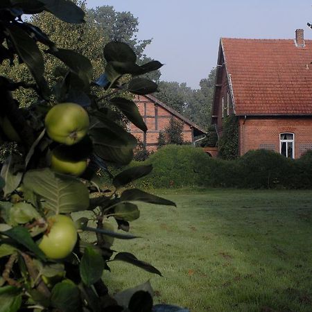 ホテル Adelheidshof Magelsen エクステリア 写真